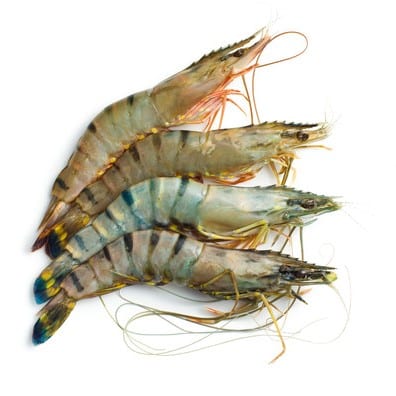 Fresh-Tiger-Prawns-ready-for-online-delivery