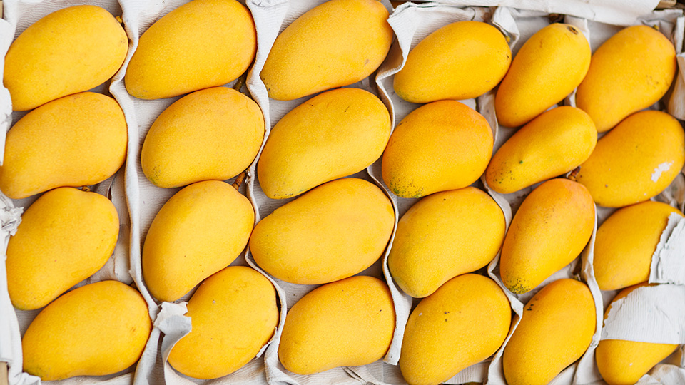 Mangos