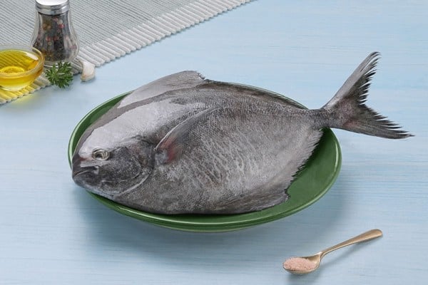 black_pomfret_whole_2