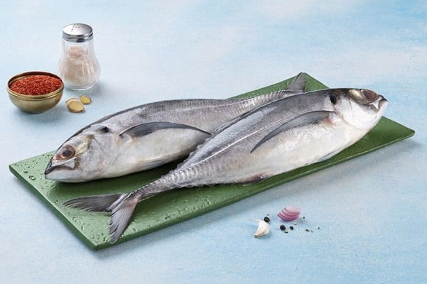 horse_mackerel_whole_1