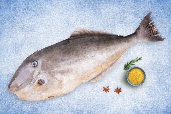 leatherjacket_whole_1