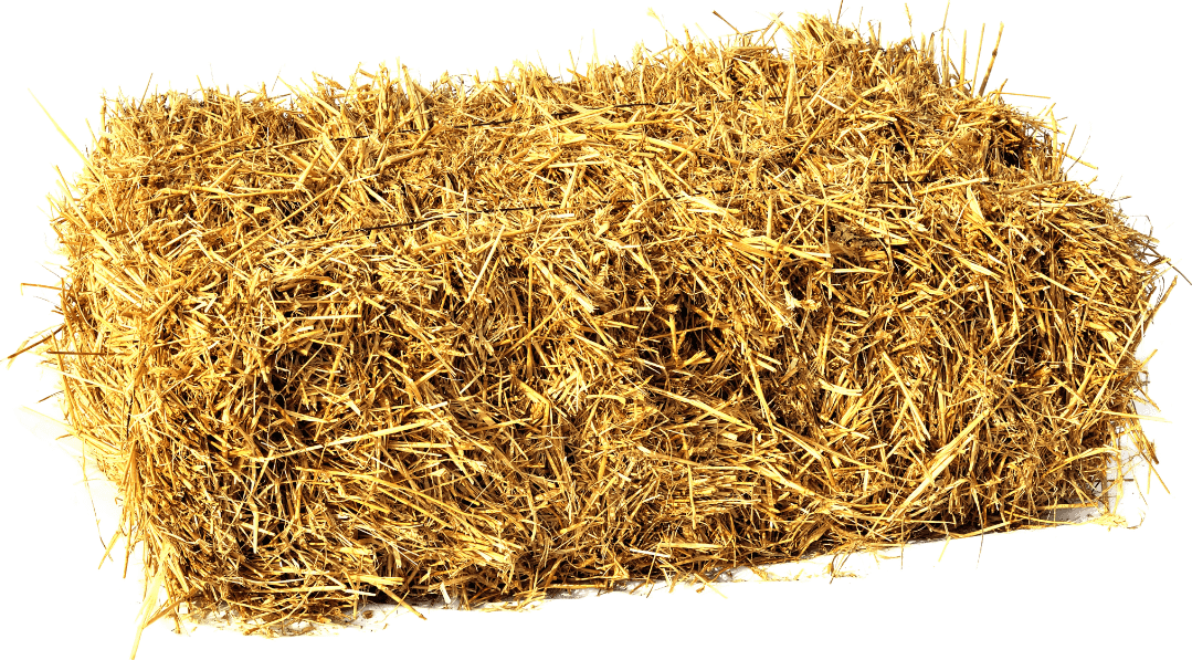 long_wheat_straw_hay