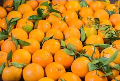 oranges