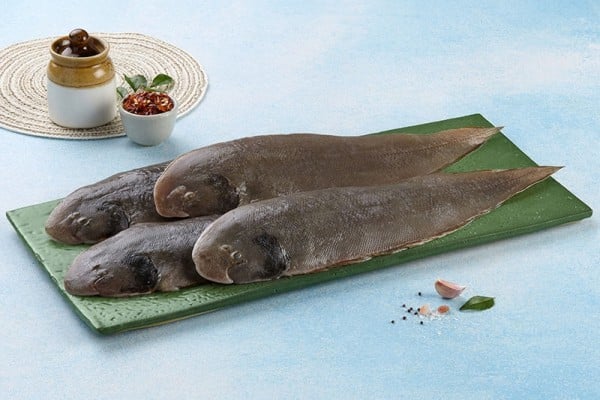 sole_fish_manthal_medium_whole_1__1_1